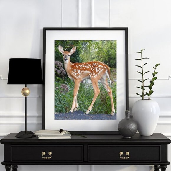 NobleCaptures Other - 8x10 Baby Fawn Deer‎ Photography Oil Painting Print